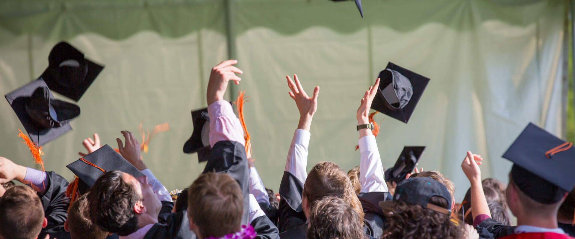 cco  -Ontario Career Colleges Impact Report